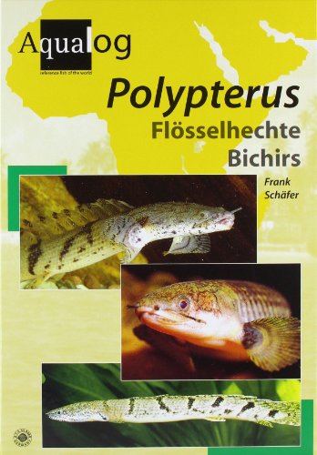 Polypterus: Flösselhechte /Bichirs. Dt./Engl. (Aqualog Bildlexikon)